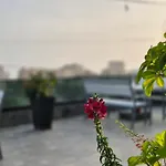 Flore