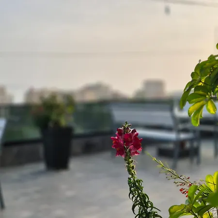 Flore